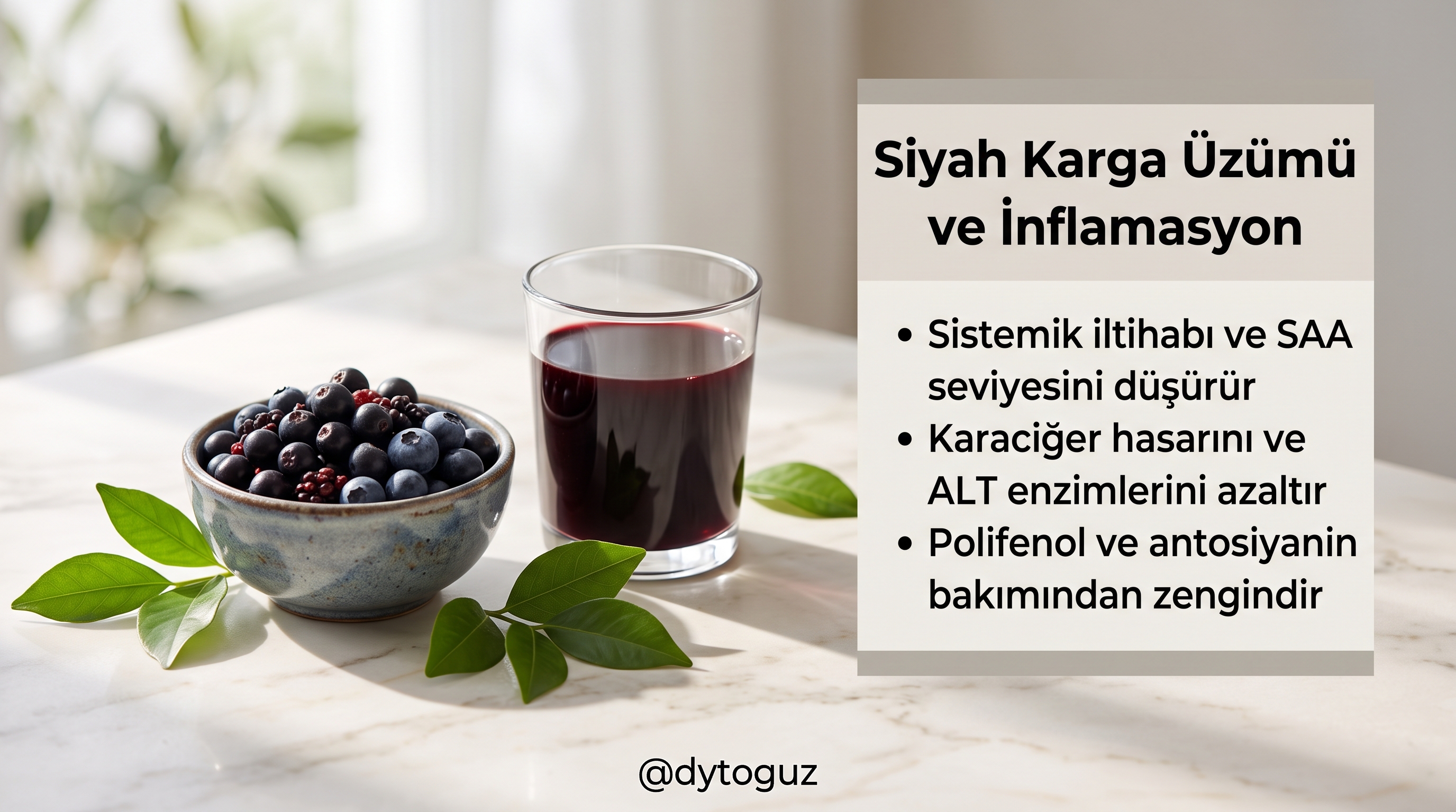 Yüksek Yağlı Beslenmenin Hücresel Tahribatına Karşı Doğal Bir Kalkan: Siyah Karga Üzümü (Empetrum nigrum) ve İnflamasyon